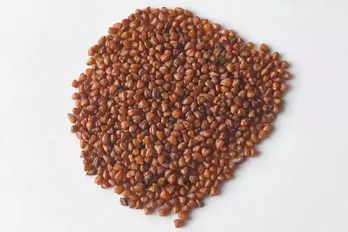 海外热销，泰州三农产品基地荣膺省级示范，这些特产你尝过吗？