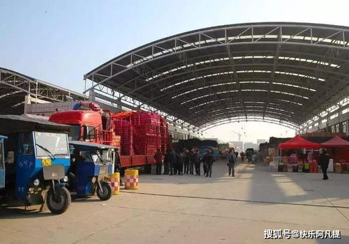 农产品批发行业数字化经营之路 食用农产品初加工的转型与挑战