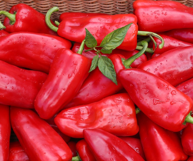 红火馈赠 农家现摘大红尖椒，鲜辣与甘甜的完美交融