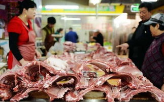 山东强化源头管控，全面检查猪肉制品生产与农产品初加工环节