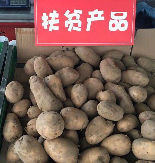 扶贫农产品上餐桌了啦——食用农产品初加工助力乡村振兴